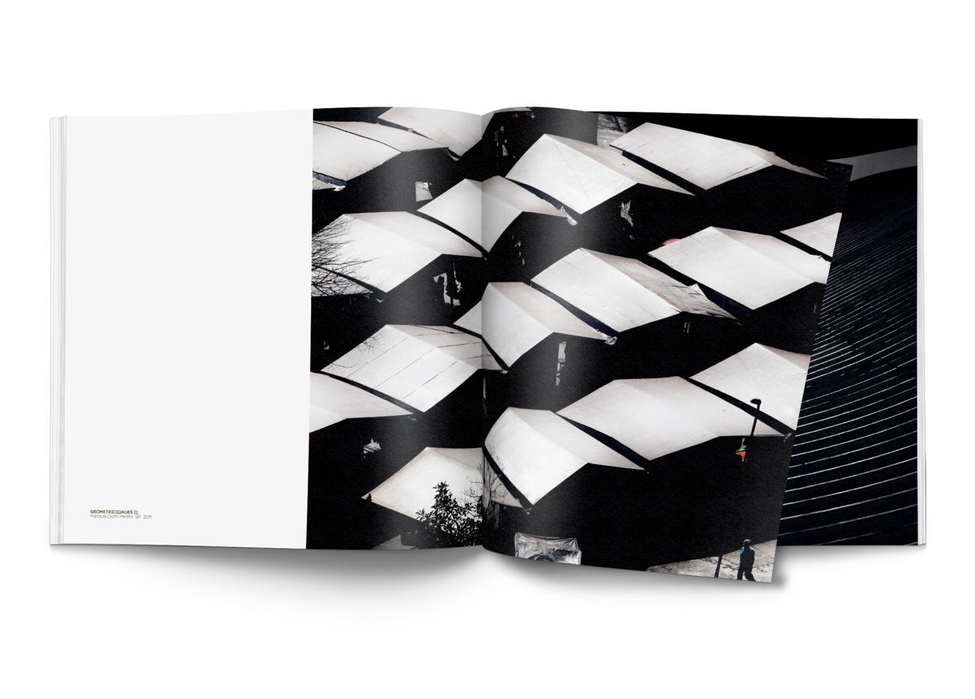 CATALOGO 5.png