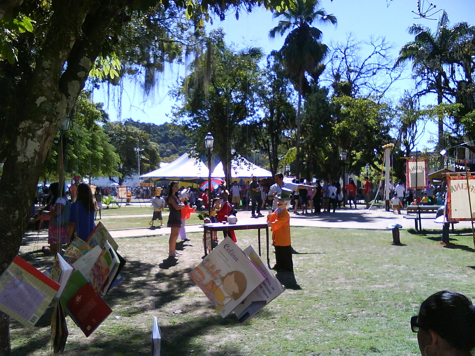maria thereza do amaral_2009 1.jpg
