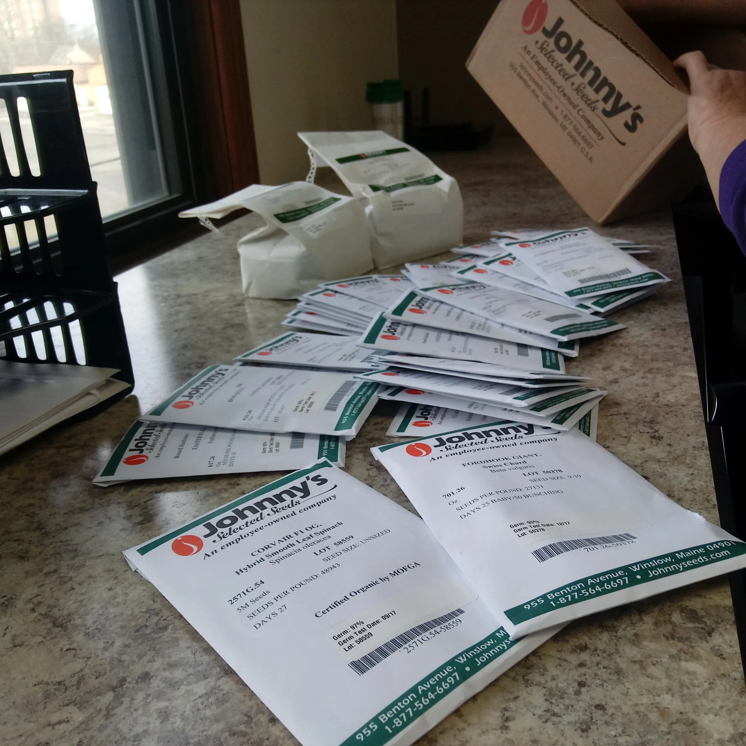 These packs of seeds will eventualy grow in to over 6000 Lbs of food!