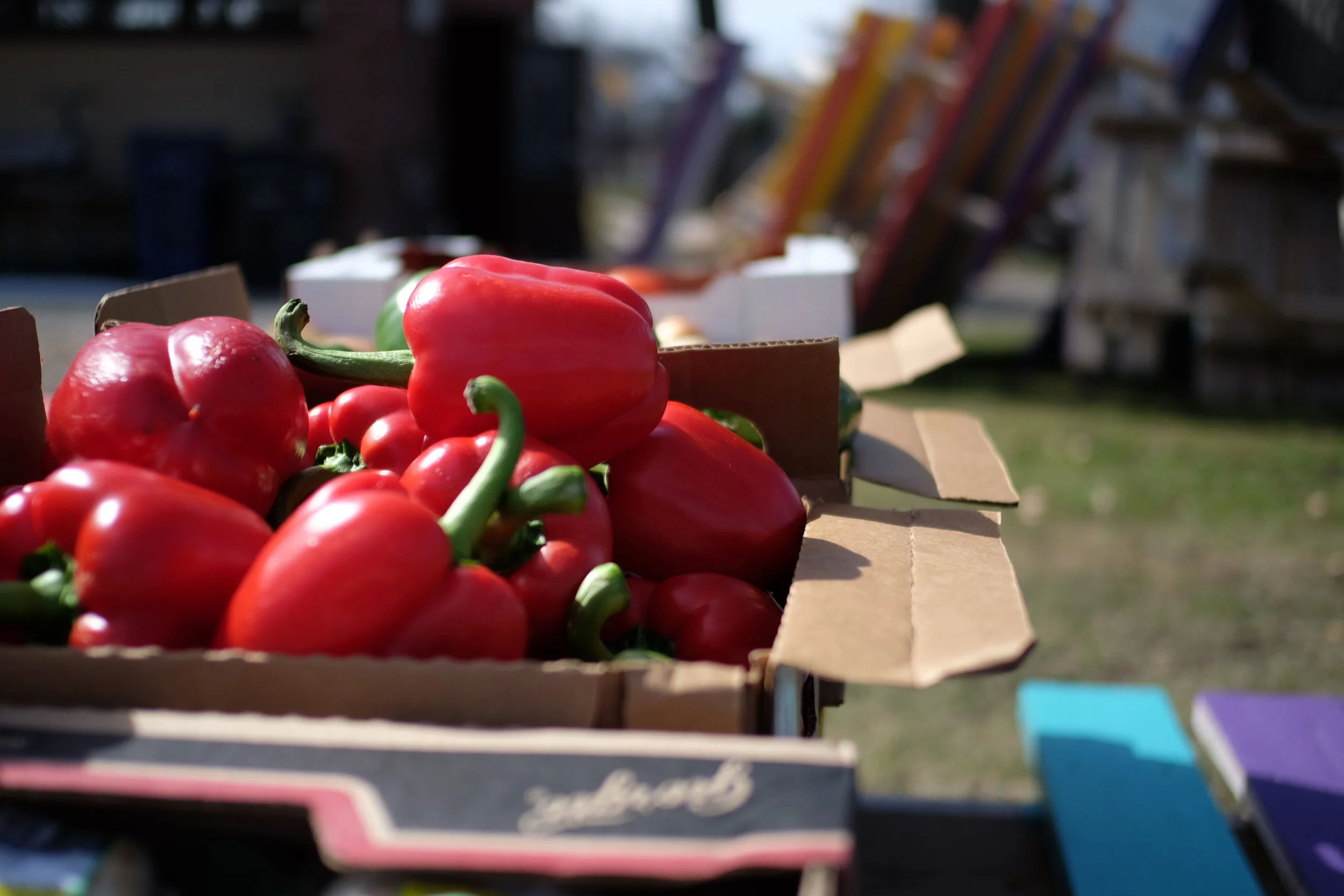 A generous helping of neighborliness!