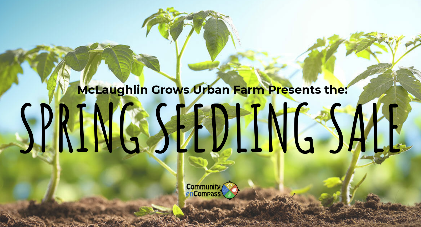 Spring seedling sale.png
