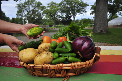 A weekly CSA Share