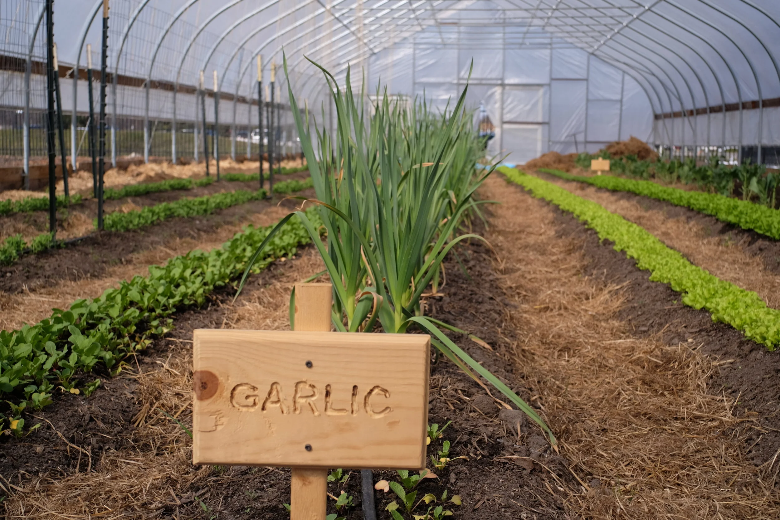 A New Season: Food Programs Adapt and Grow