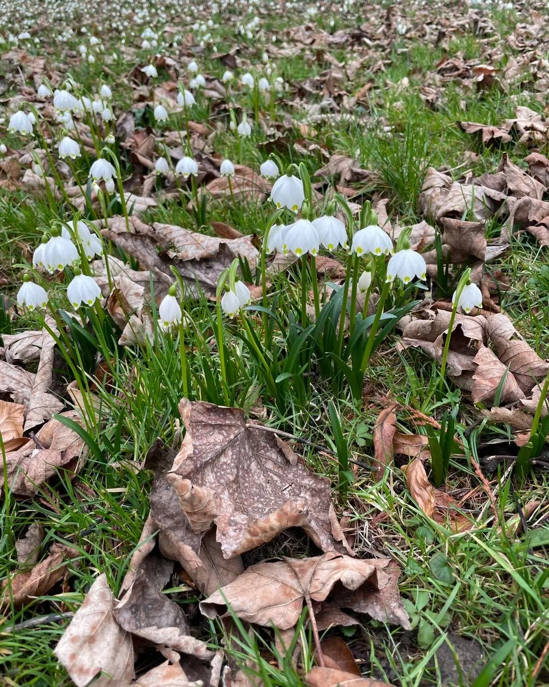 🌸 Fr&uuml;hlingserwachen am See 🌊

Die ersten Blumen bl&uuml;hen, die Sonne spiegelt sich im Wasser und die Natur zeigt sich wieder von ihrer sch&ouml;nsten Seite. Genau jetzt ist die perfekte Zeit f&uuml;r eine kleine Auszeit.

Unser Apartment Hot