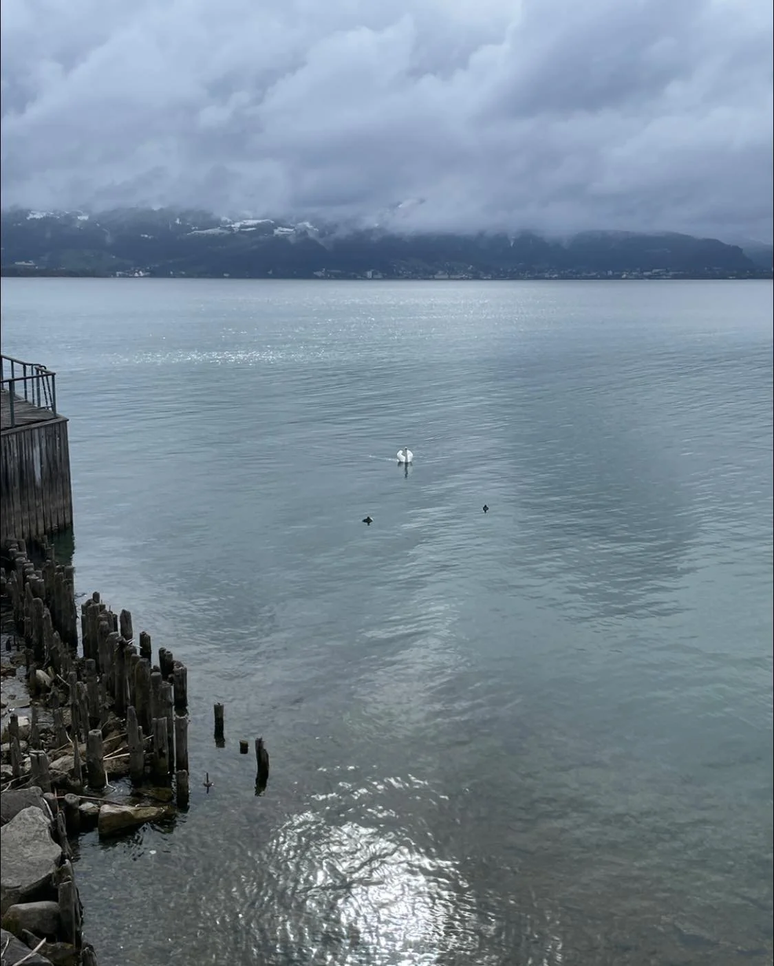Der Bodensee im M&auml;rz hat seinen ganz eigenen Zauber. 🌊

Noch liegt eine besondere Ruhe &uuml;ber dem Seehafen, die Luft ist klar, die Wege sind leerer &ndash; perfekt, um einfach mal durchzuatmen.
Zwischen sanften Wellen und ersten Sonnenstrahl