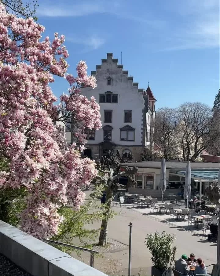 Fr&uuml;hlingspracht am Lindauer Seehafen🌼die Osterwoche k&ouml;nnte nicht sch&ouml;ner sein. Was bl&uuml;ht schon bei euch im Garten? Schreibt es gerne in die Kommemtare👇🌼 #lindau #bodensee #apartmenthotel