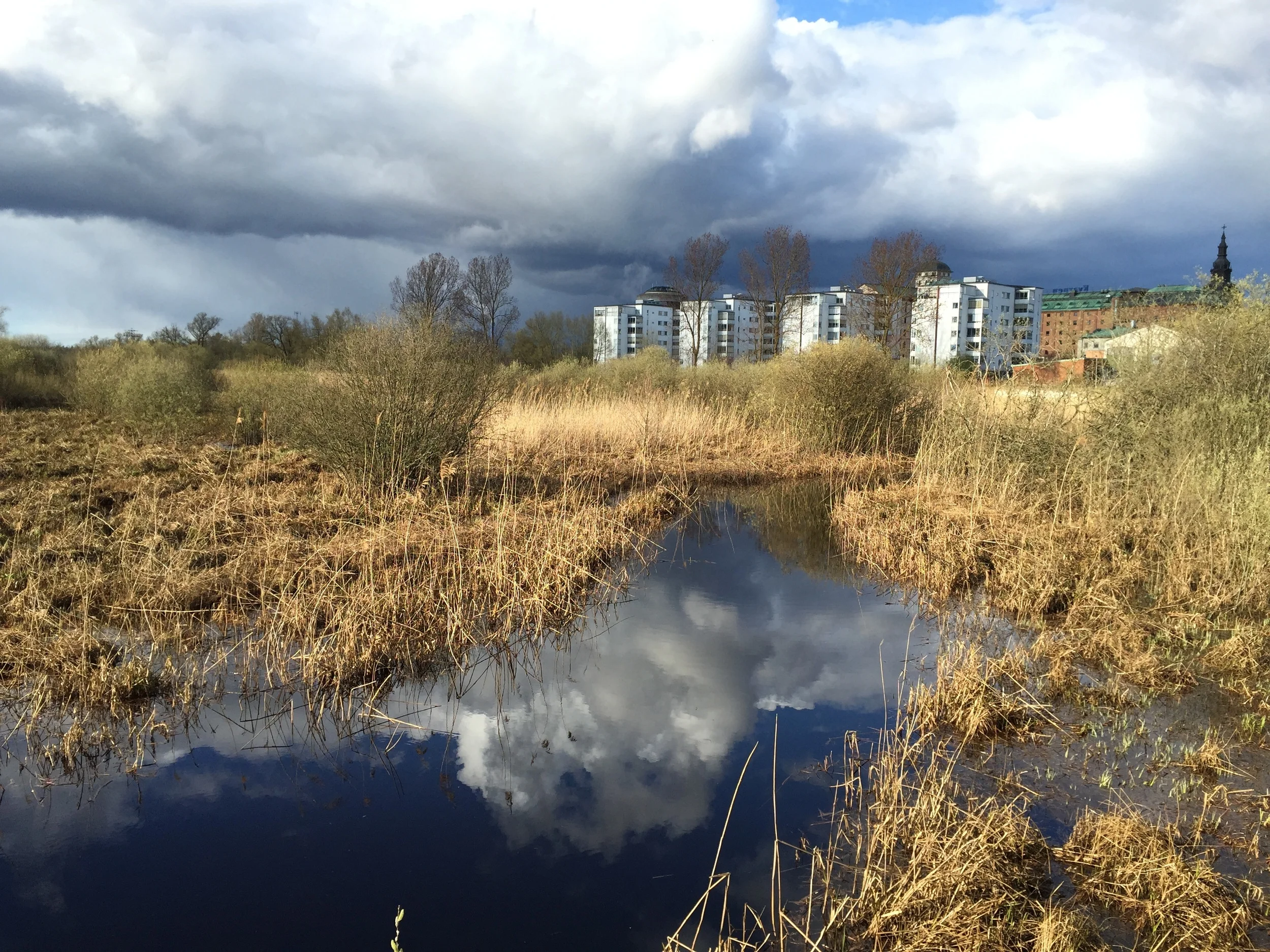 Debatt: Myllrande våtmarker och vektorburen smitta