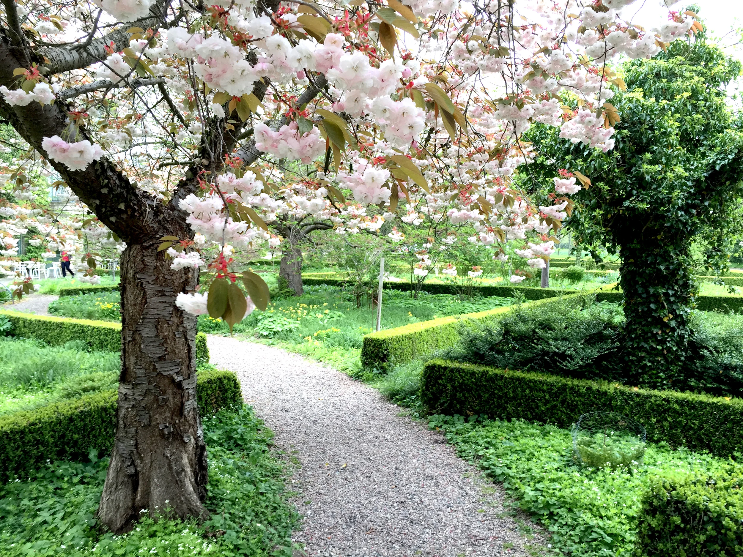 Rofylldhet: en planfaktor att beakta