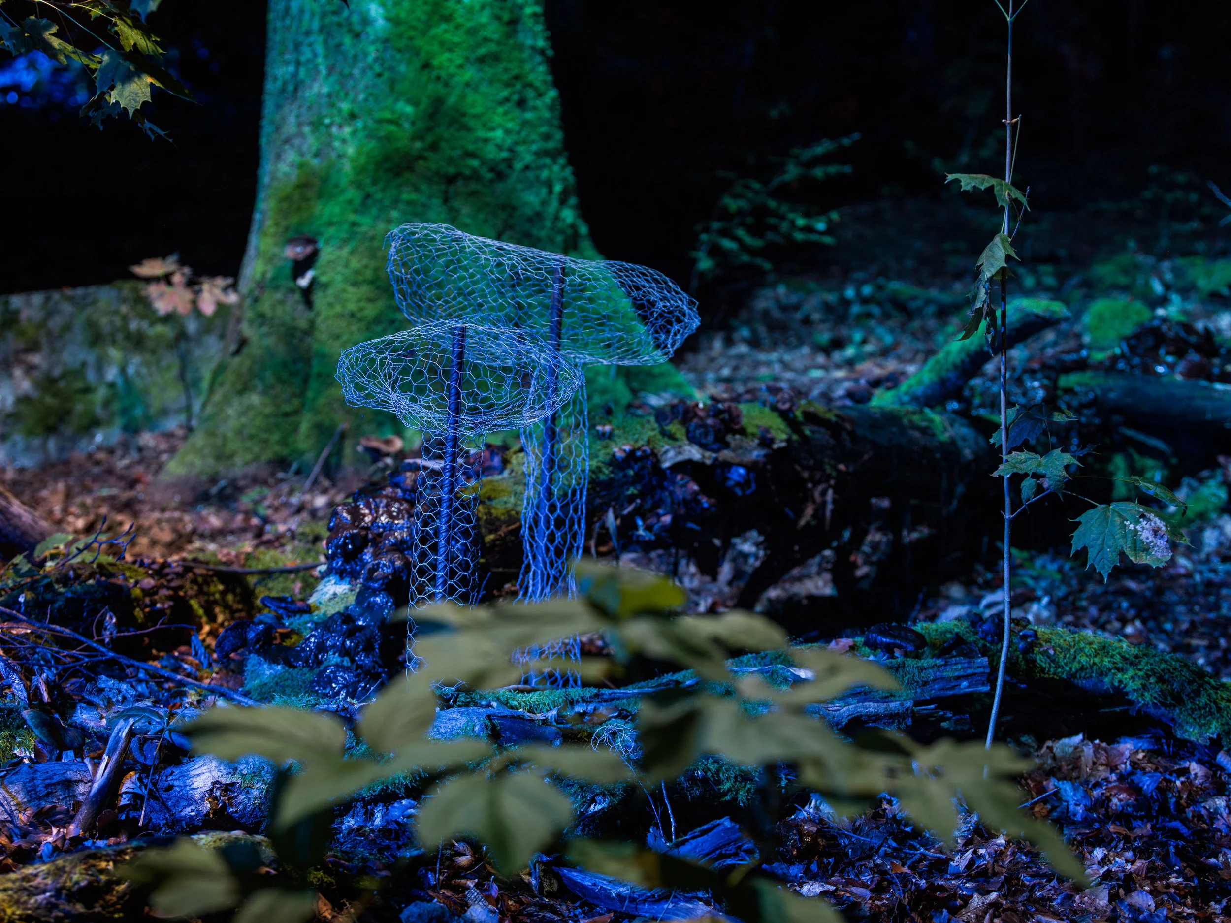 Ljusdesign och ljuskonst  i stadsbilden