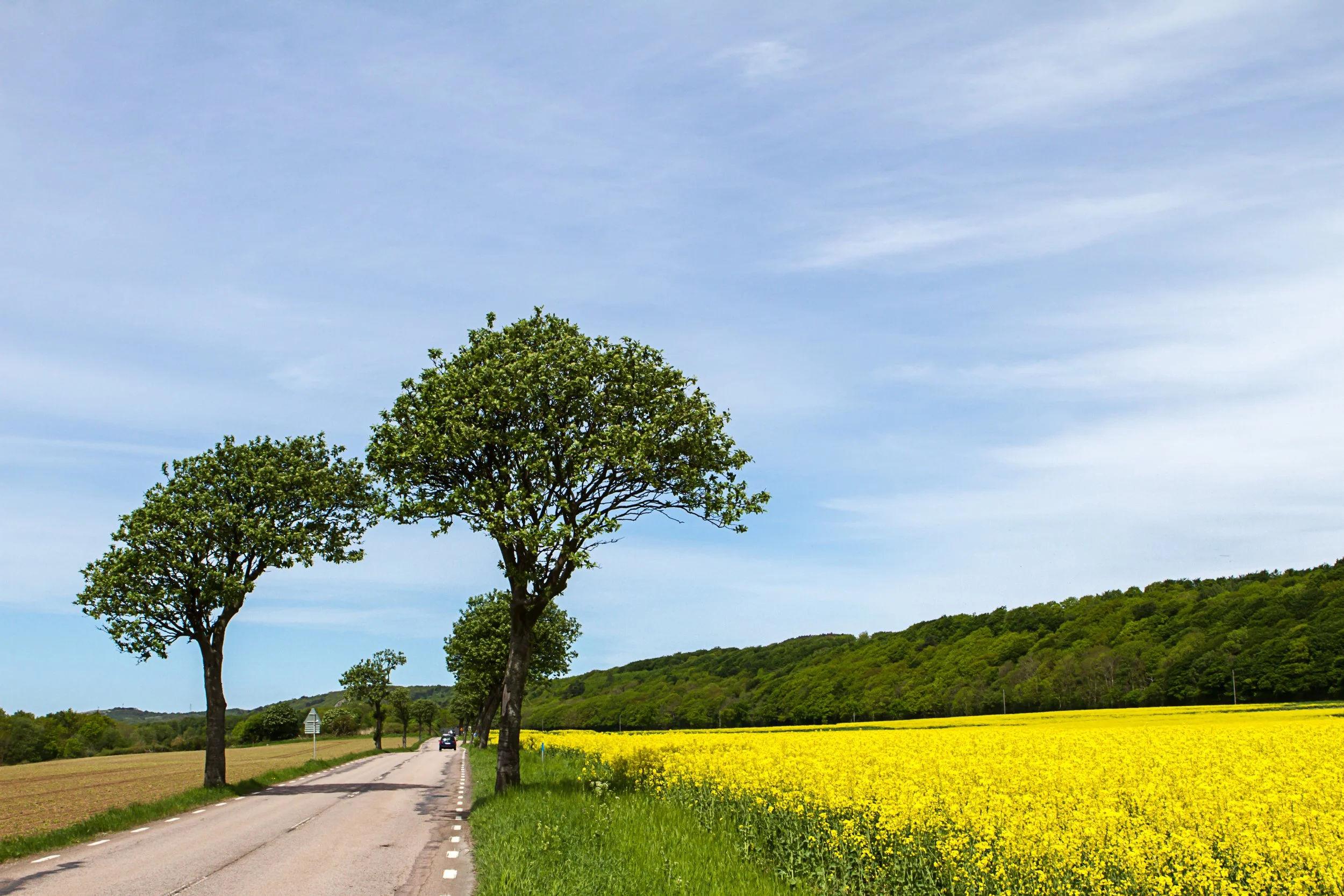 Nationell fysisk planering och FFS Södras årsmöte