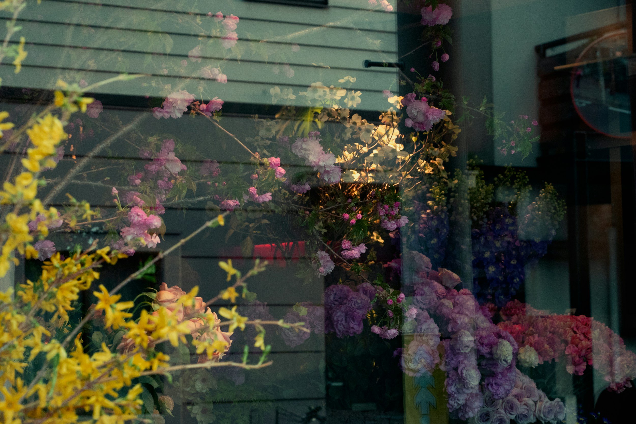 Linköping: Årsmöte med FFS Öst + föredrag