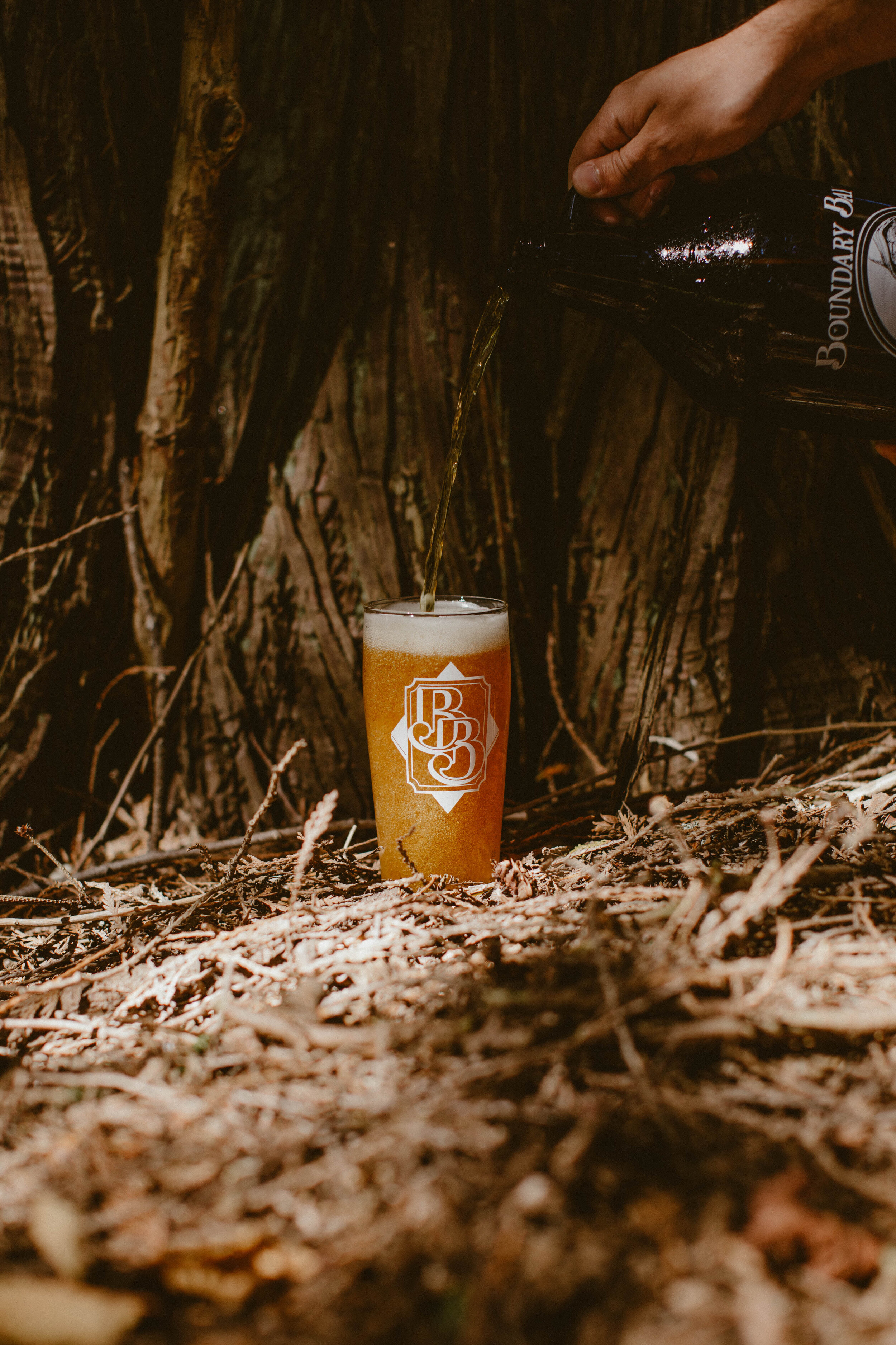 Excelsior-IPA-2021-7.jpg