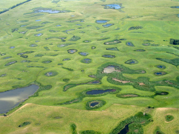 Prairie pothole region - aerial view