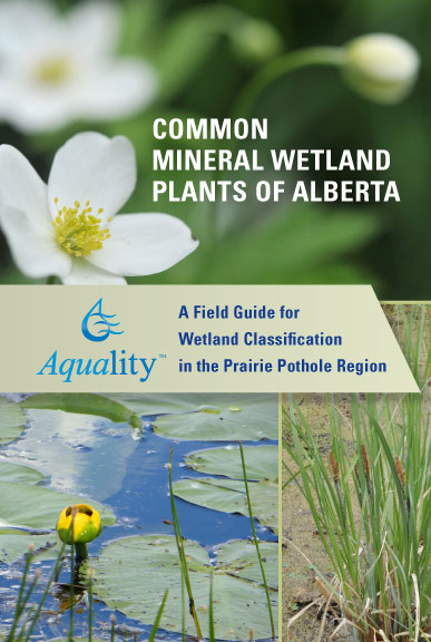 WetlandFieldGuide_cover.jpg