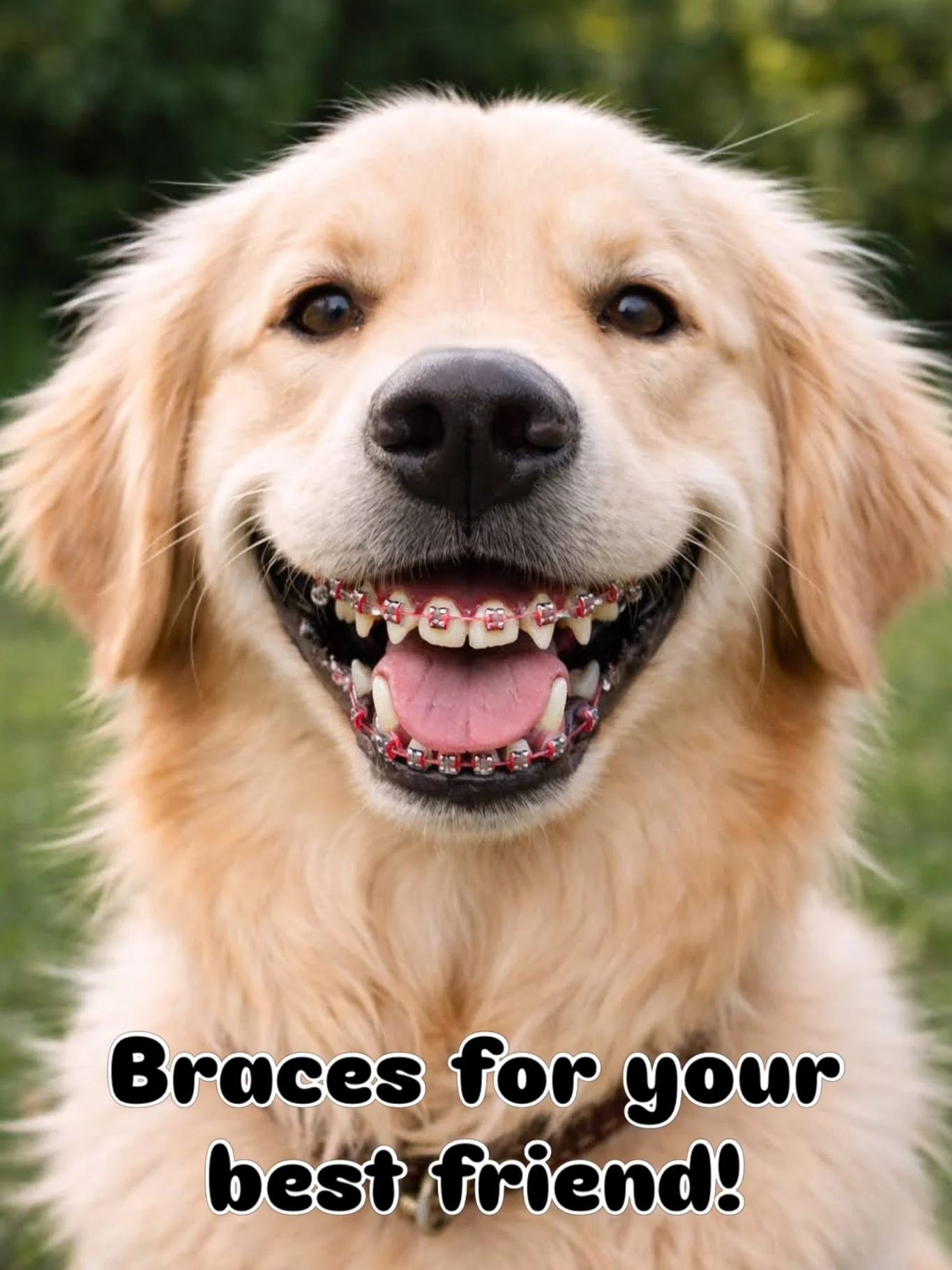 We have expanded our services and are now offering braces for your best friend? Does your puppy have an underbite or a snaggletooth? Don&rsquo;t worry! We can fix it! Your pup deserves a perfect smile 🐶🦷😬 

#aprilfools #puppy #braces #joke #orthod
