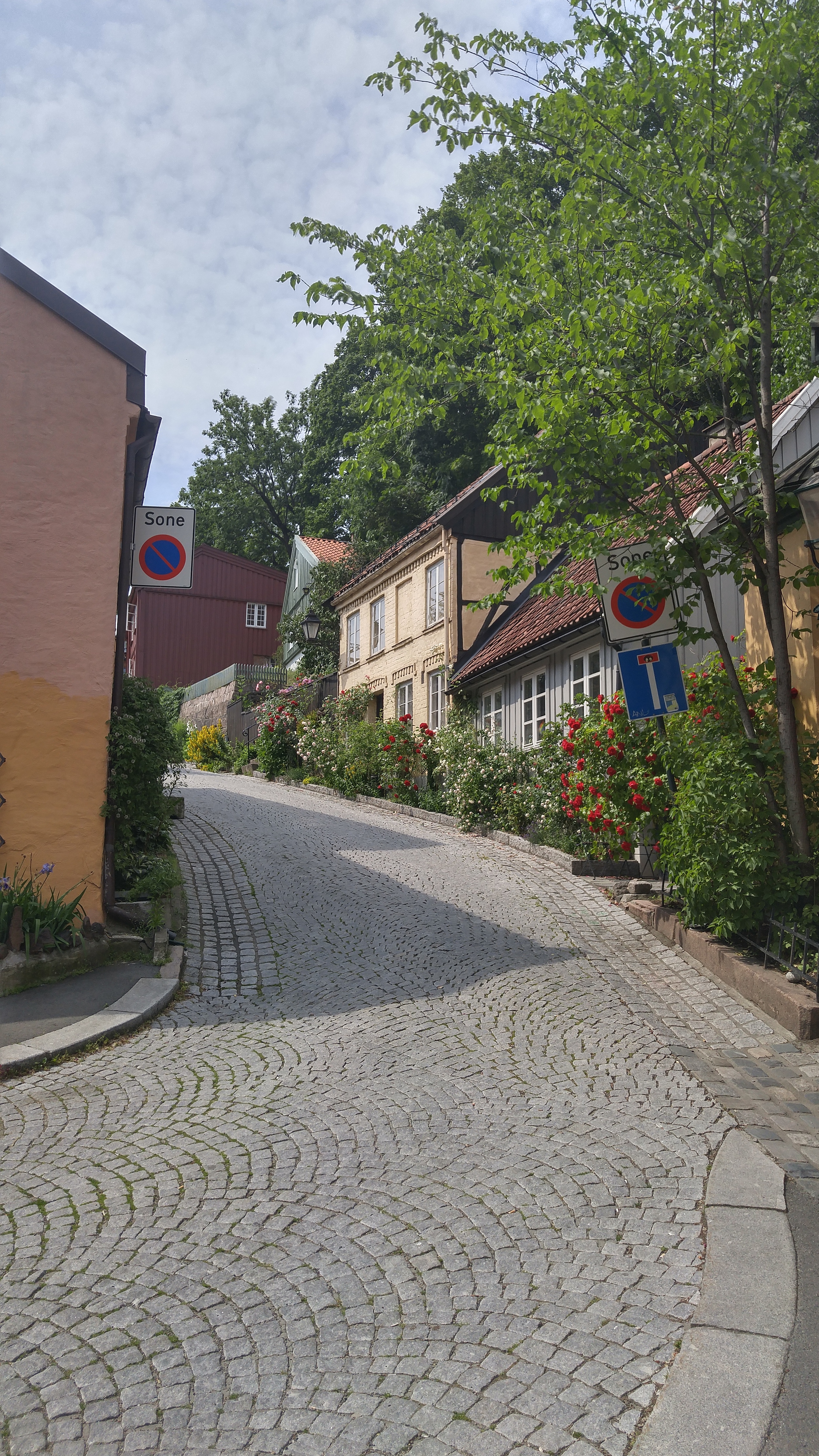 Damstredet is the sort of alley who's cheeks you just want to pinch.