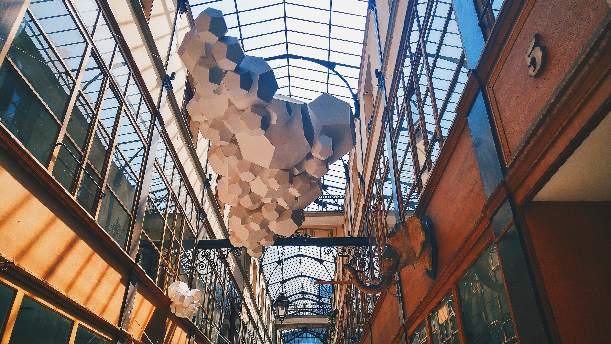 Passage du Grand Cerf masterfully captures the beauty of a glass covered passageway. 