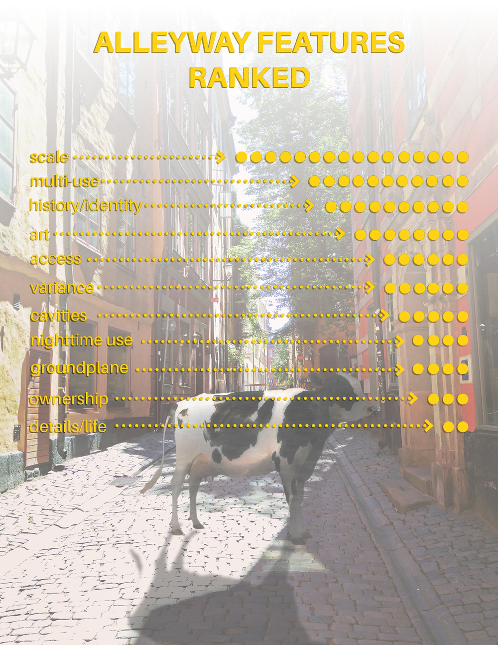 AA_Features_Ranked.jpg