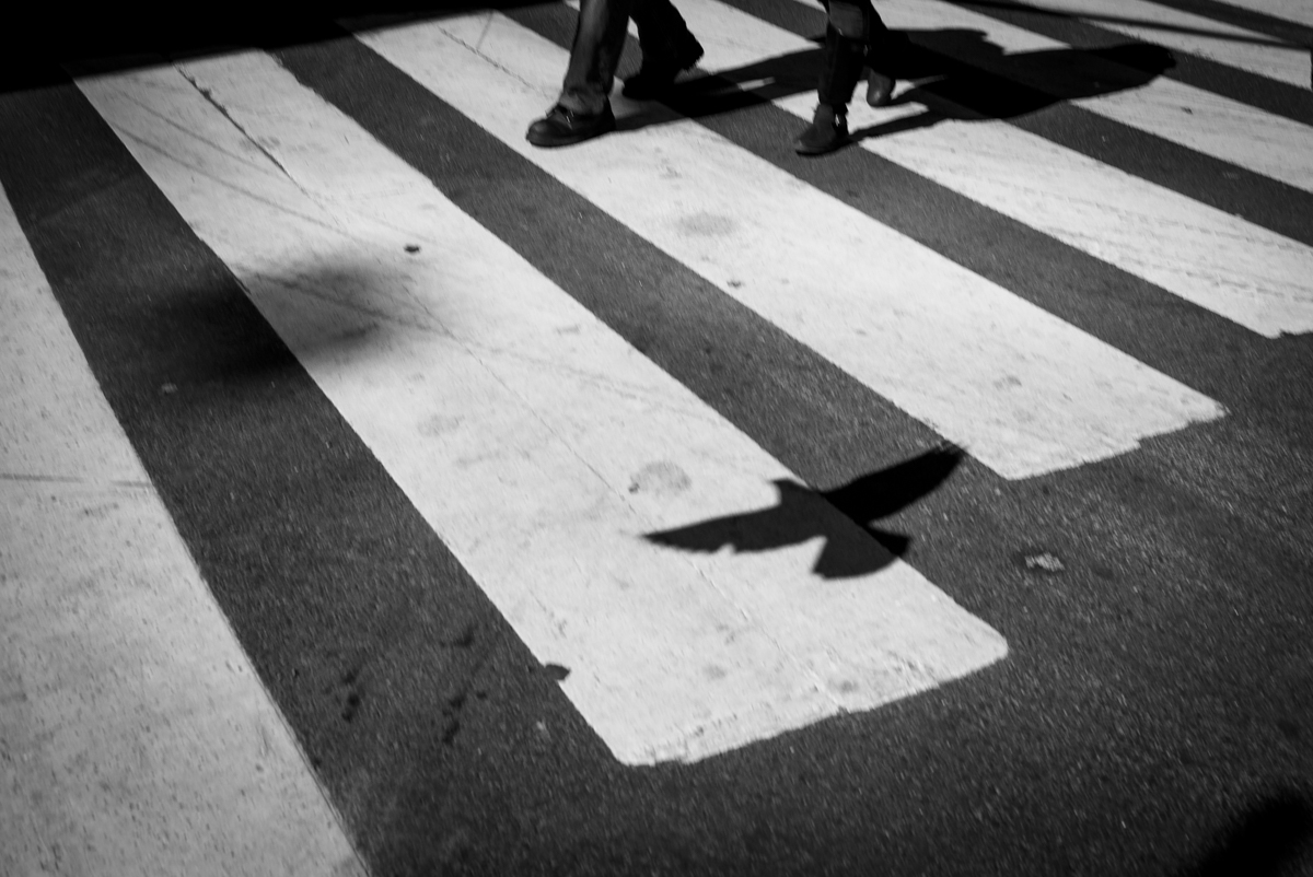 Matteo Capellini_Urban Beauty BW_003.jpg