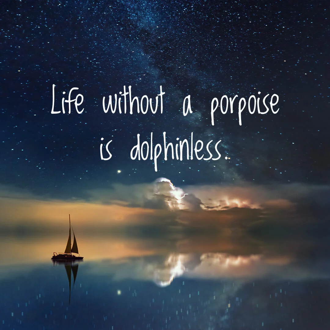 Porpoise.jpg