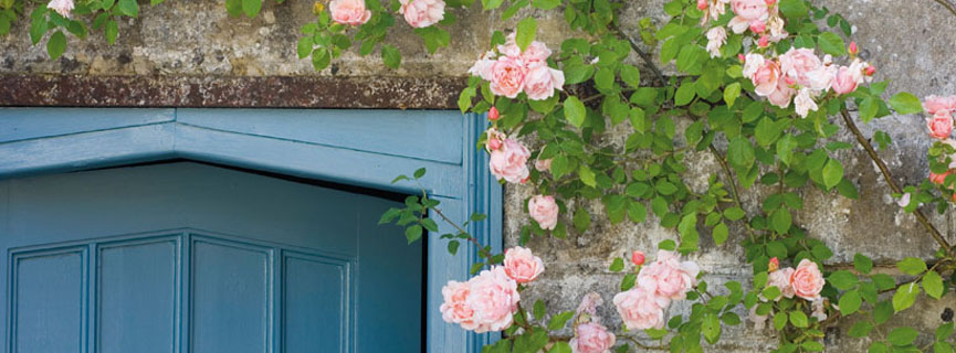High-Gloss paint on door - Image courtesy of Farrow & Ball