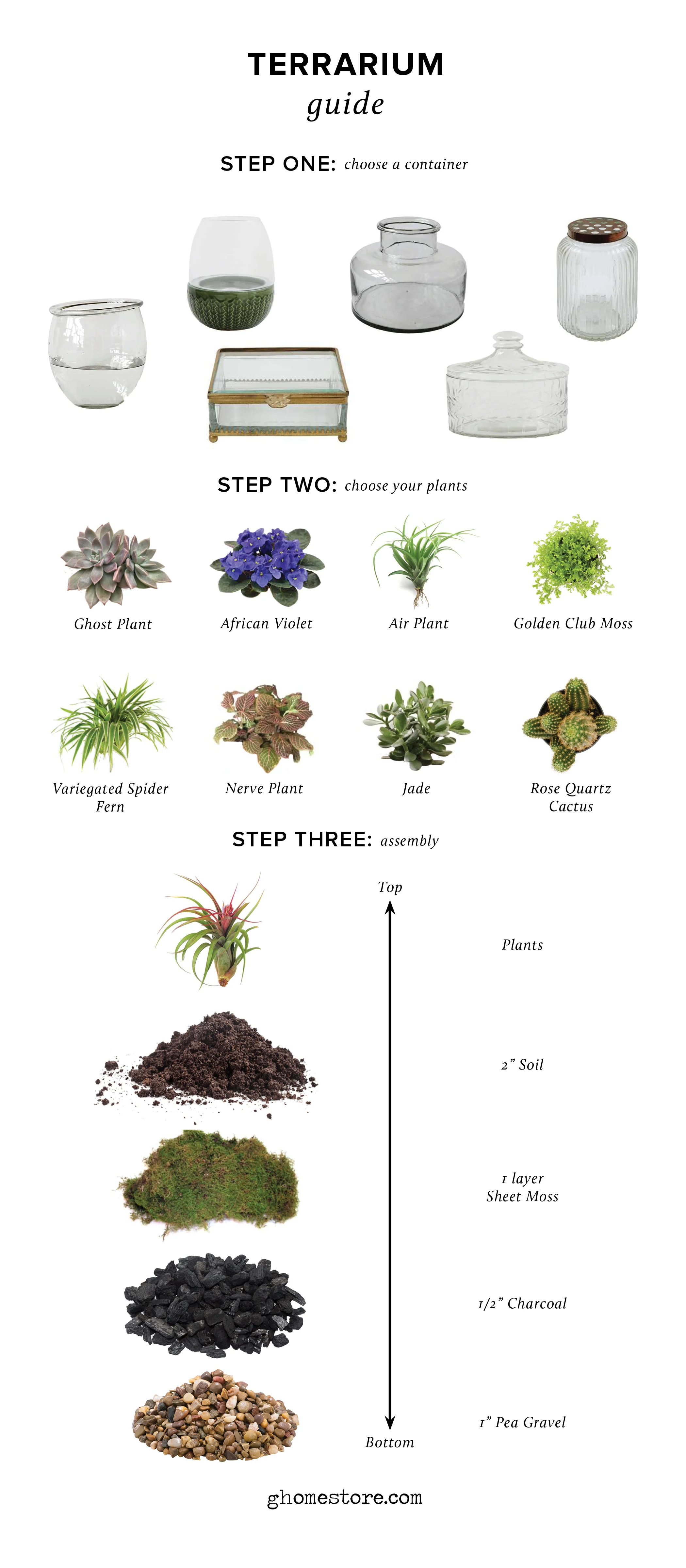 Terrarium.jpg