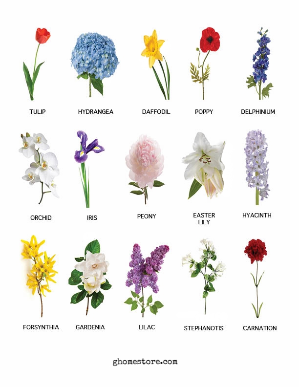 Spring+Flower+Cheet+Sheet.jpg