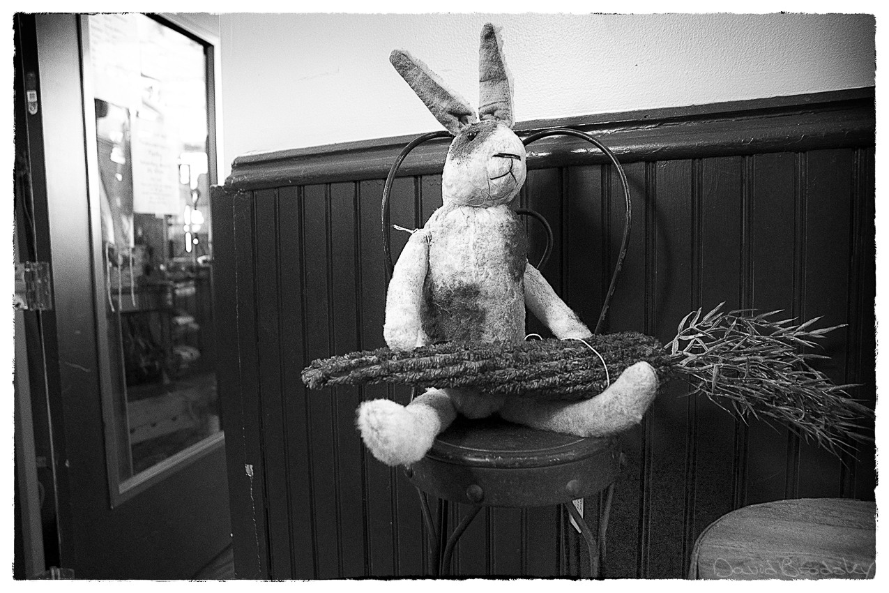 Forgotten Toys. The Rabbit