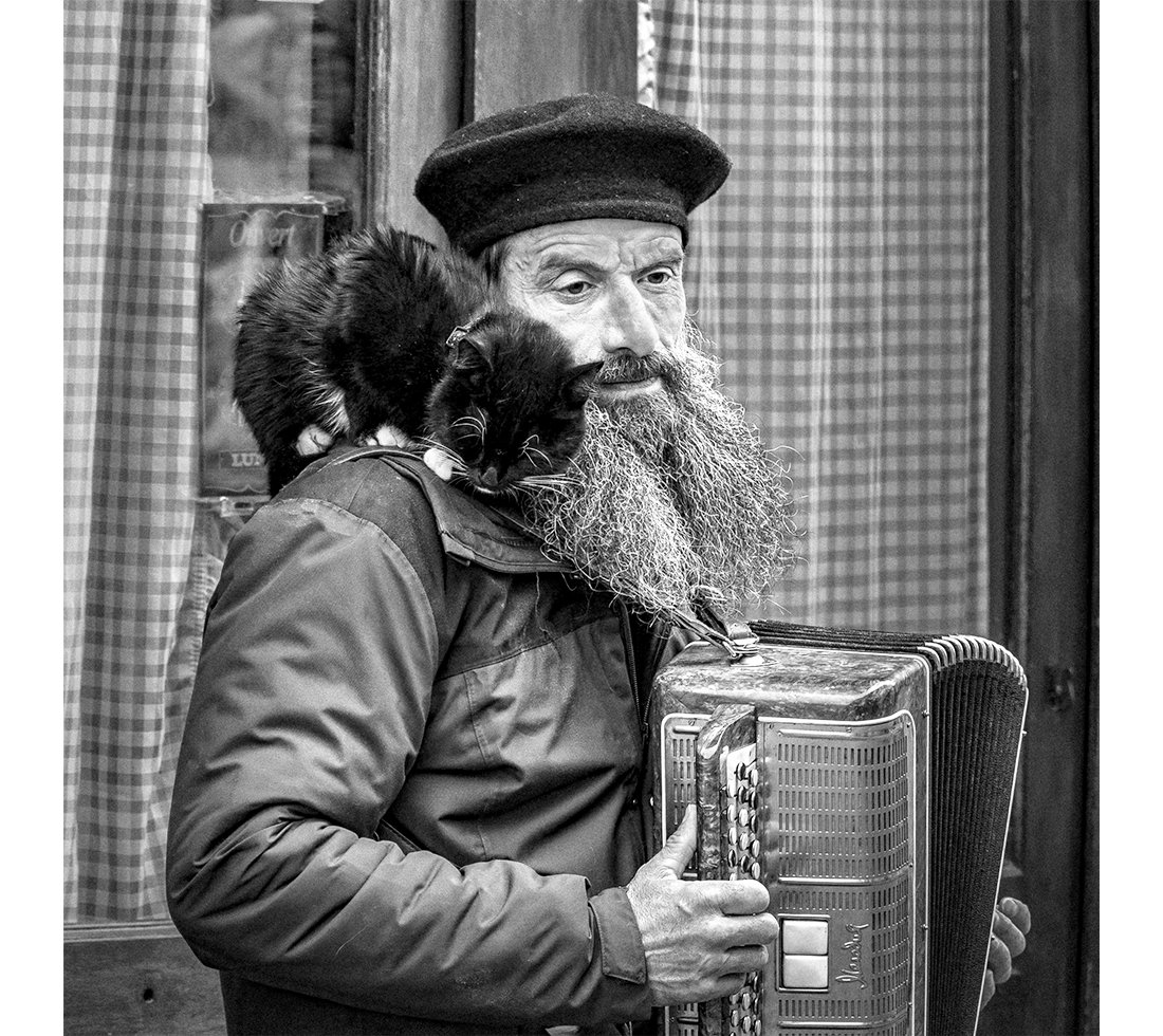 Street Musician with Cat