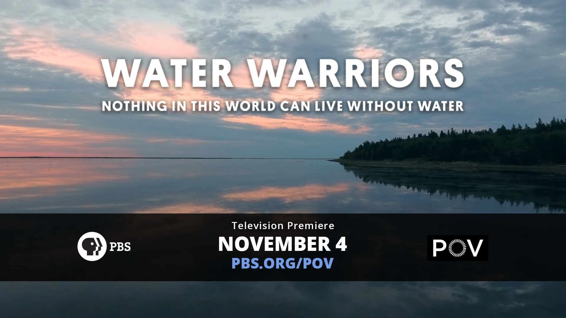 Water Warriors Watch Party