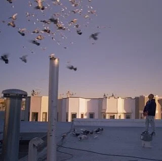 Excited to share some of our amazing collaborators have made their film available online! Checkout short film Neighborhood, which premiered at BAM. Directed by Ben Garchar with goregeous visuals by @jeef_jerky https://designcollector.net/likes/neighb