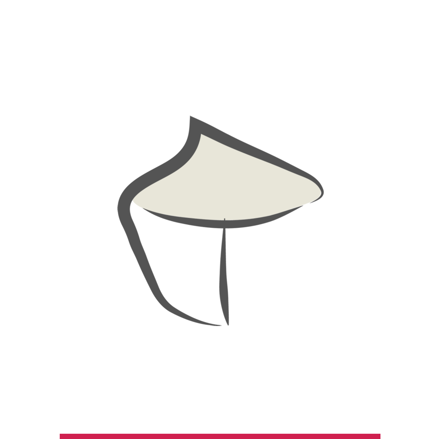 TSAVO_ICON.png