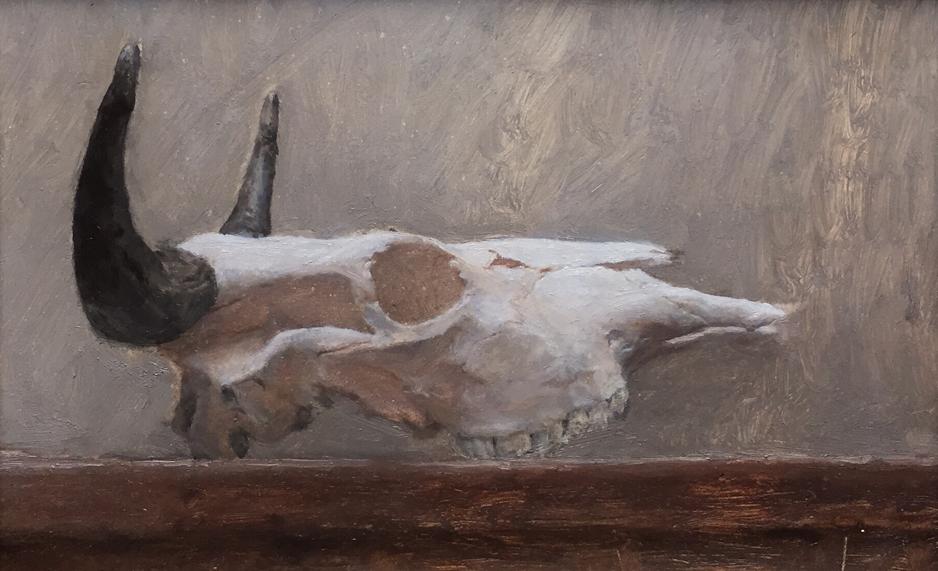  Kevin Müller Cisneros,  Steer   Skull,&nbsp; oil on panel, 6.5x9.5 in 