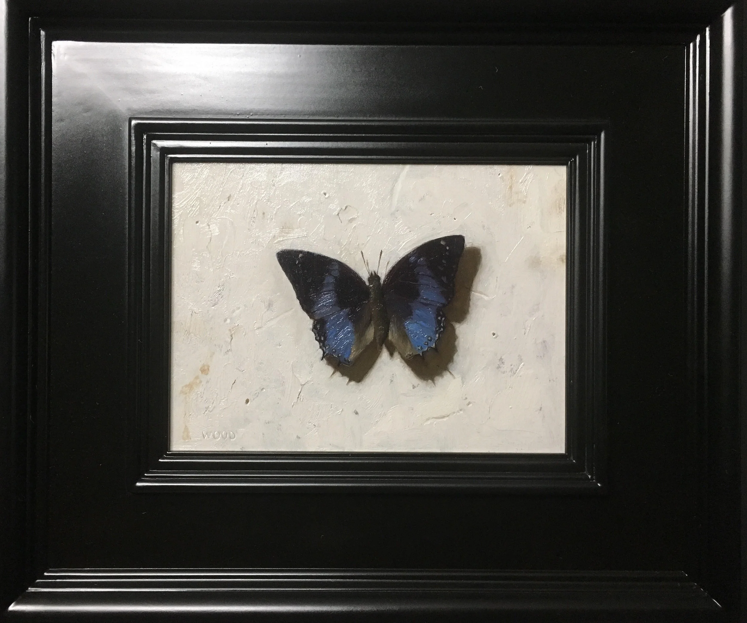 Blue Butterfly by Justin Wood, 2018, oil on canvas, 6 x 8 in, $1,600