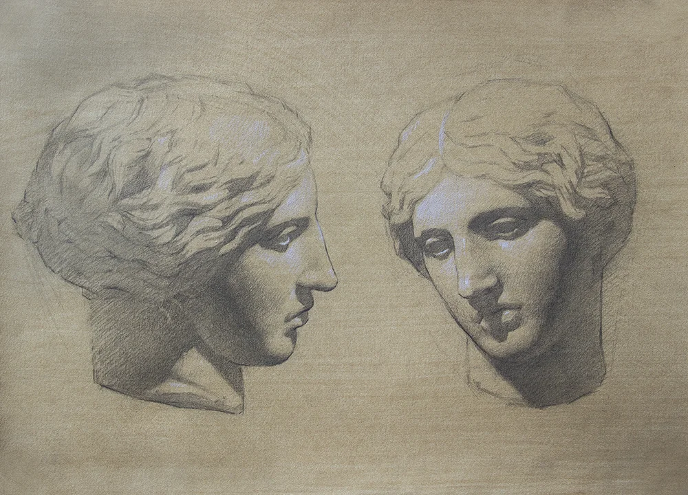 Head of an Amazon 2018, graphite and white chalk on paper 11 x 15 in $1,100
