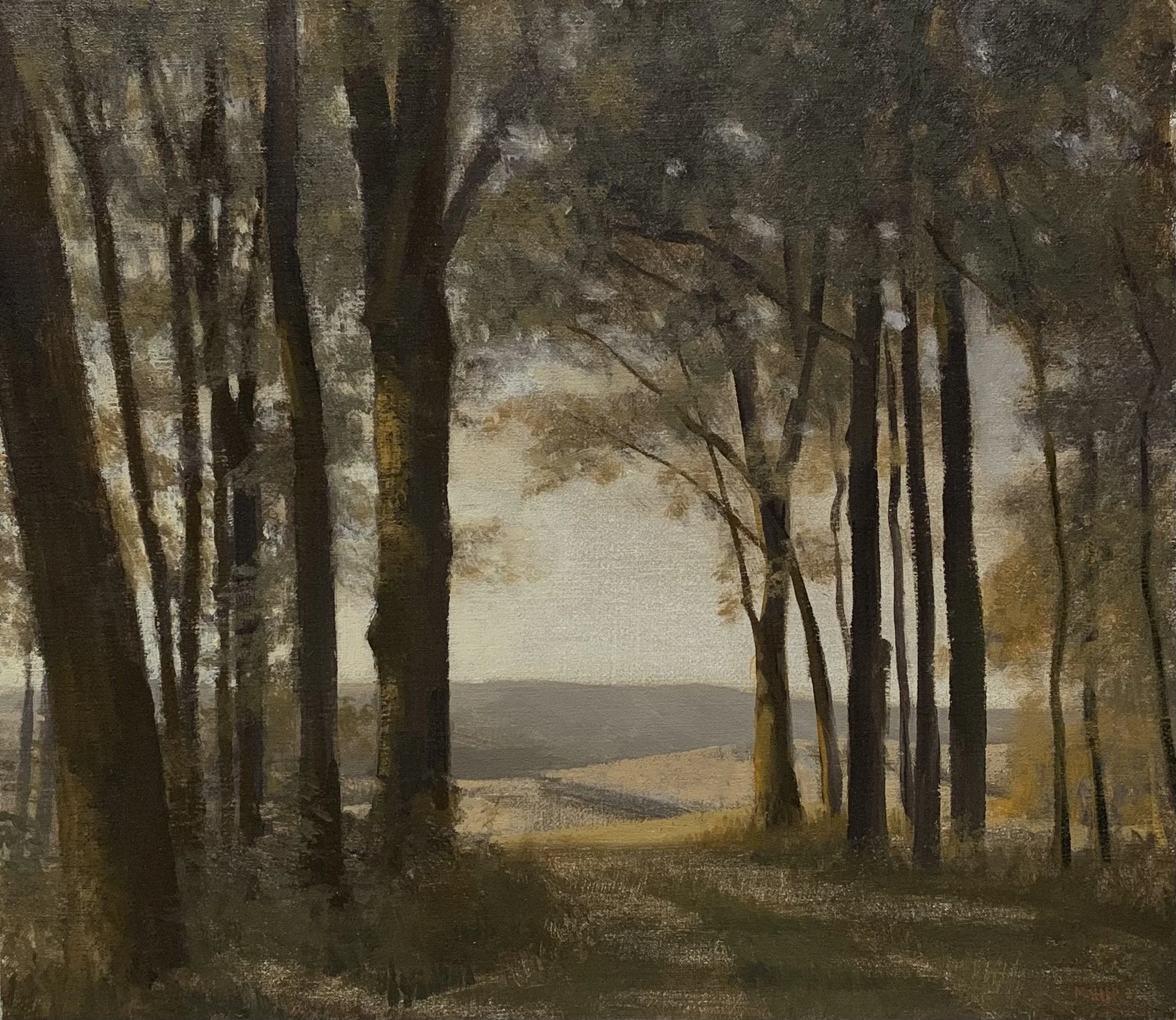 StudyofDaylightinTheWoods-14x16-2000.jpeg