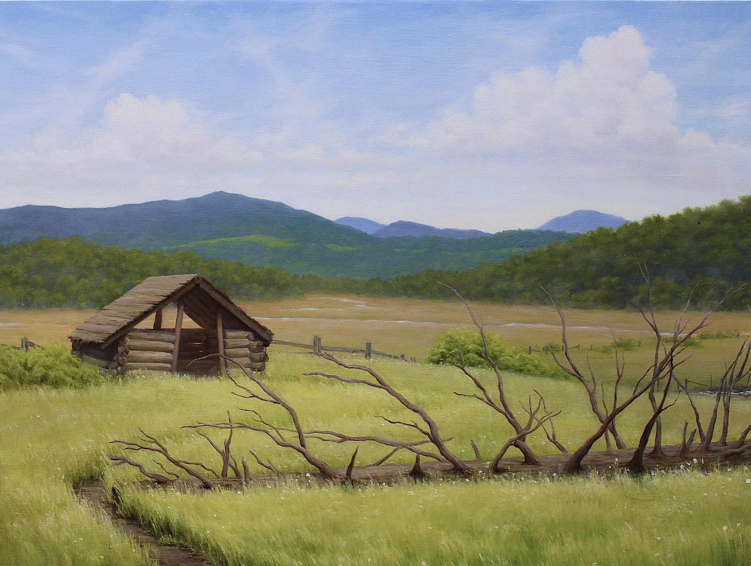 Black Bear's Meadow - Final.jpg