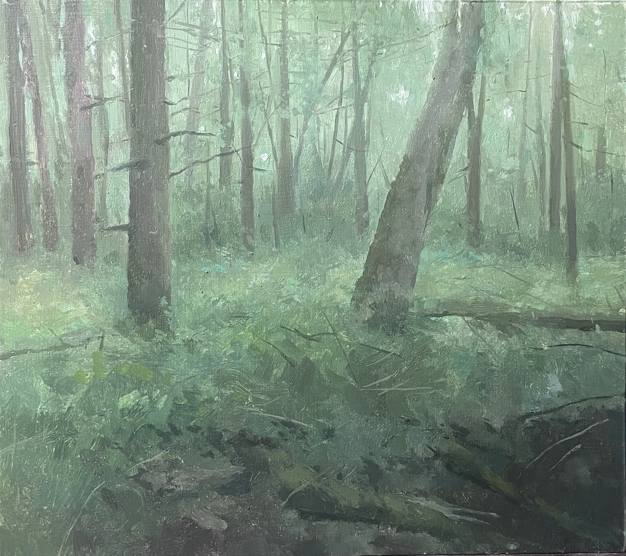 Forest Edge.jpg