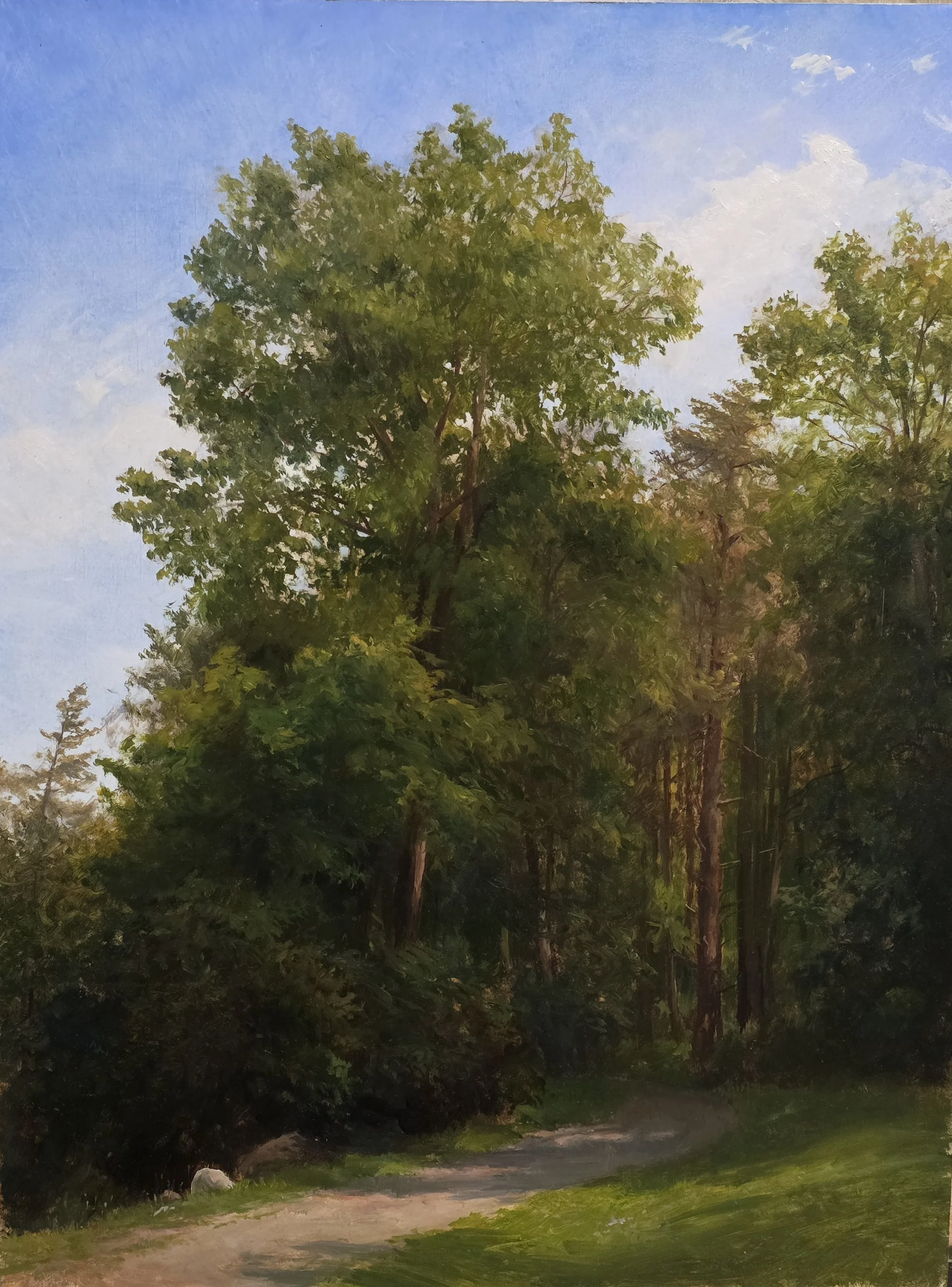 Forest Path Sketch.jpg