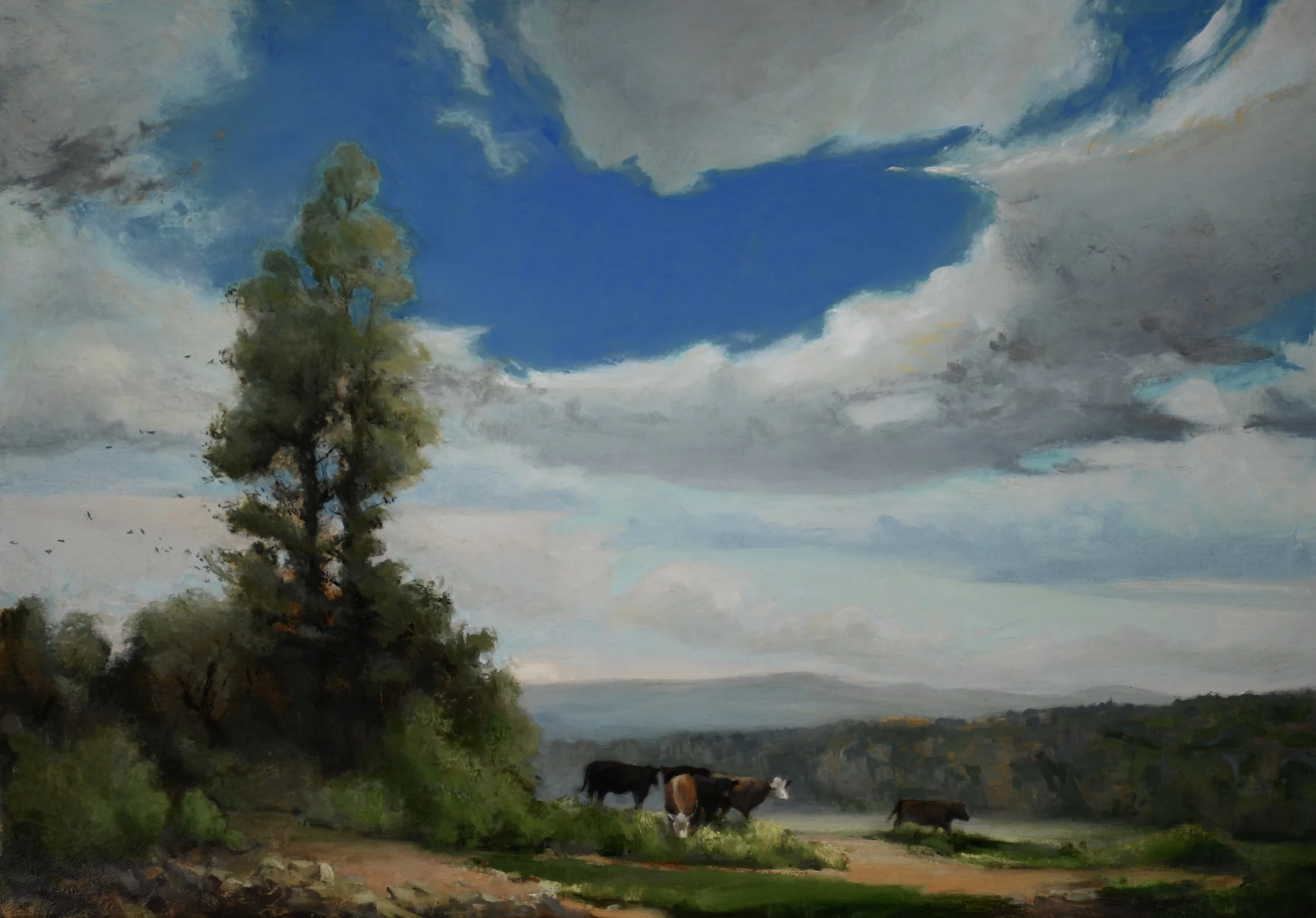1_The Clearing.jpg