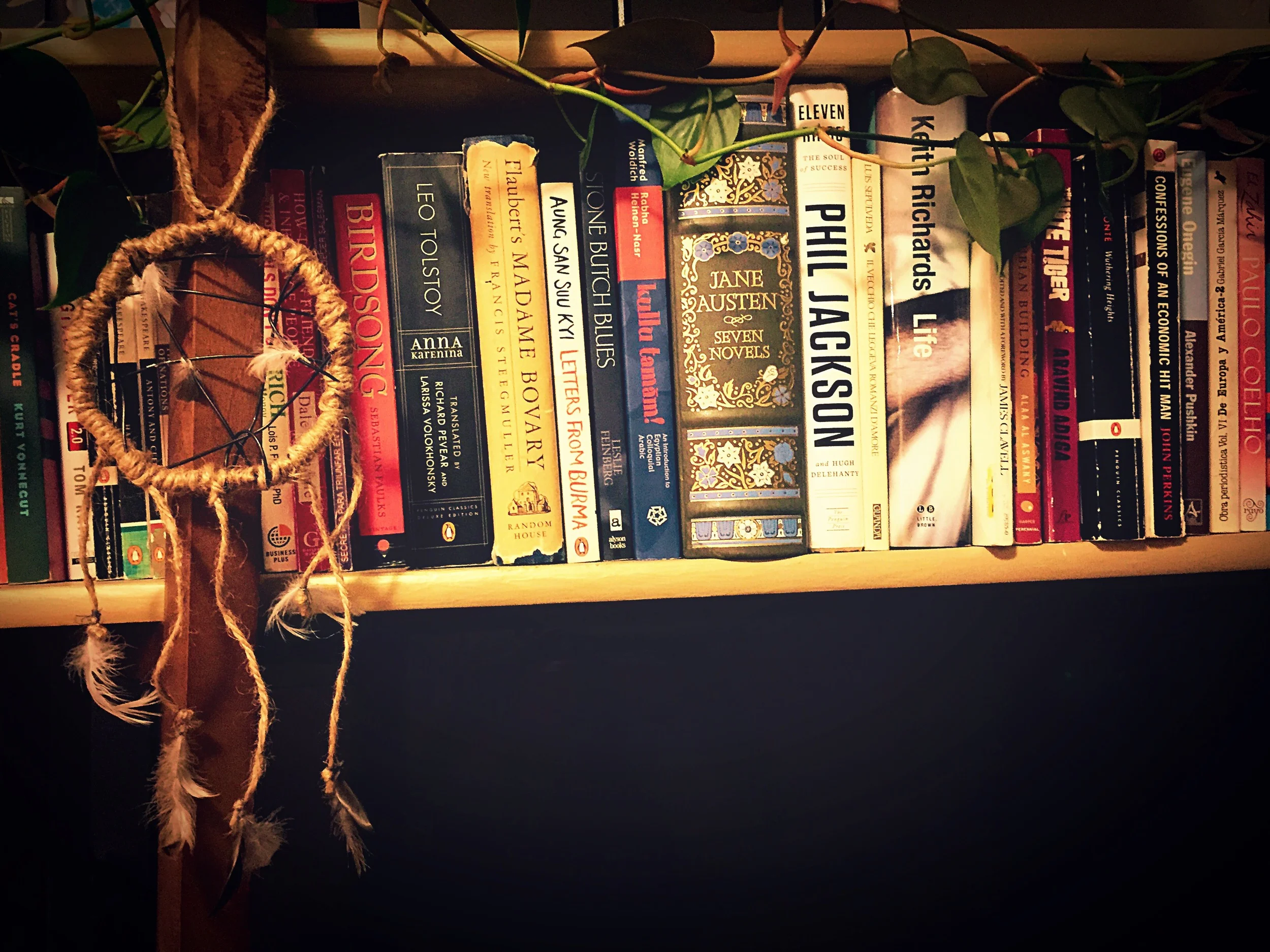 The Beautiful Dreams We're Made Of