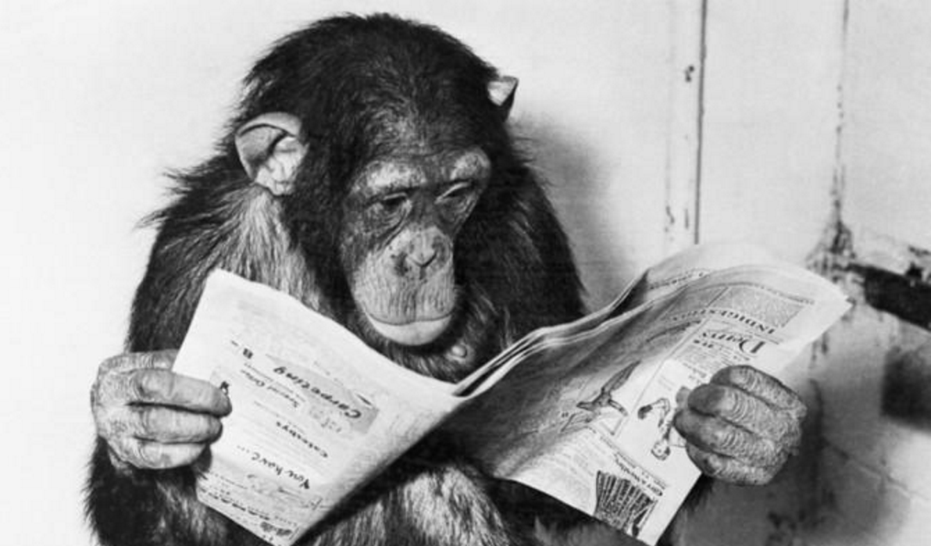 We've Been Featured in the Washington Post!