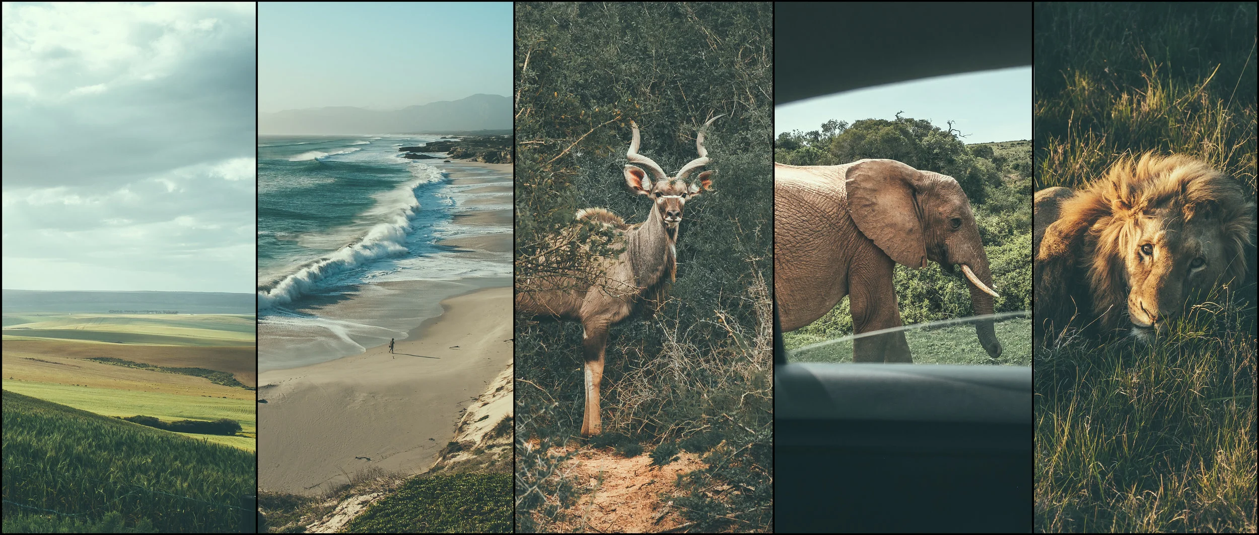 FOXY_PRINTS_VOL_02_comp.jpg