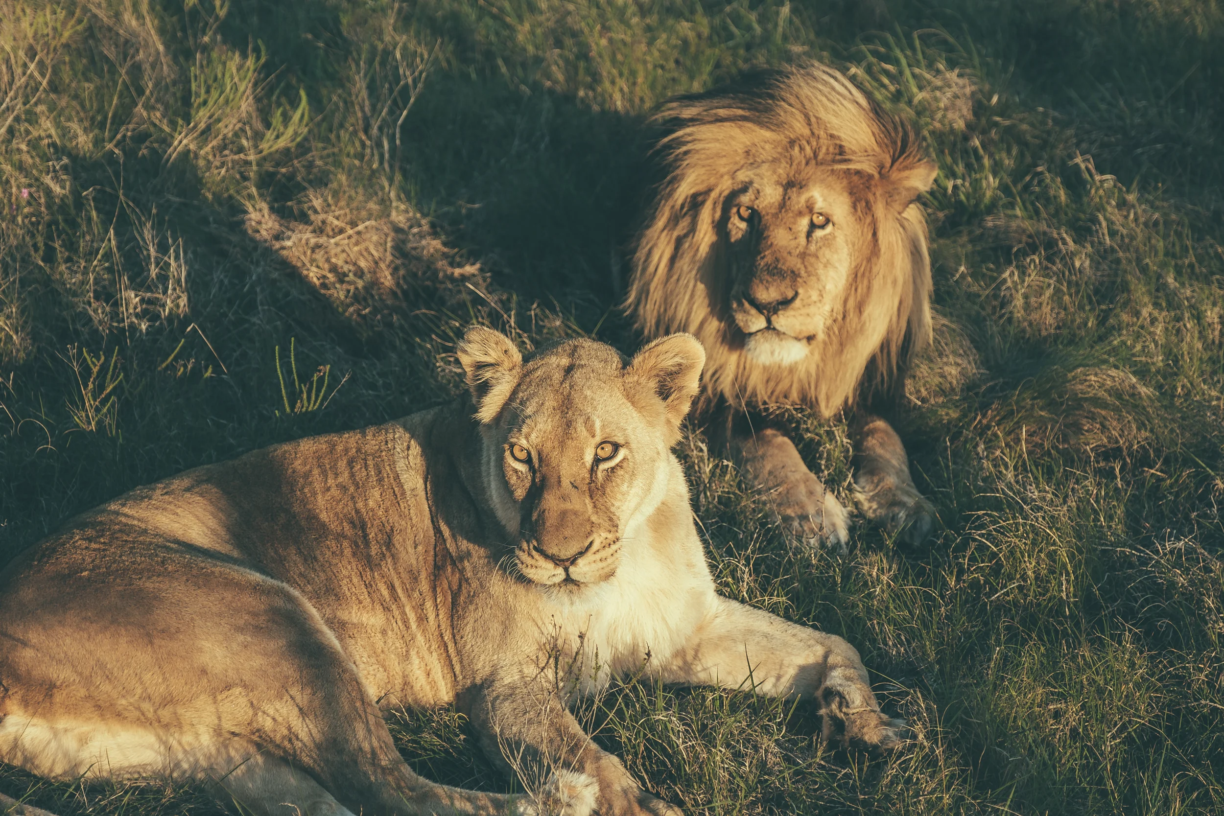 SOUTH_AFRICA-13.jpg