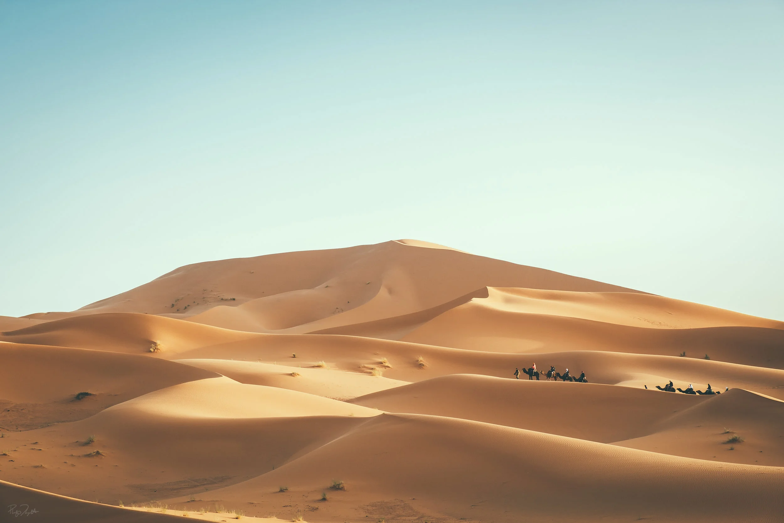 SAHARA_DESERT_01.jpg