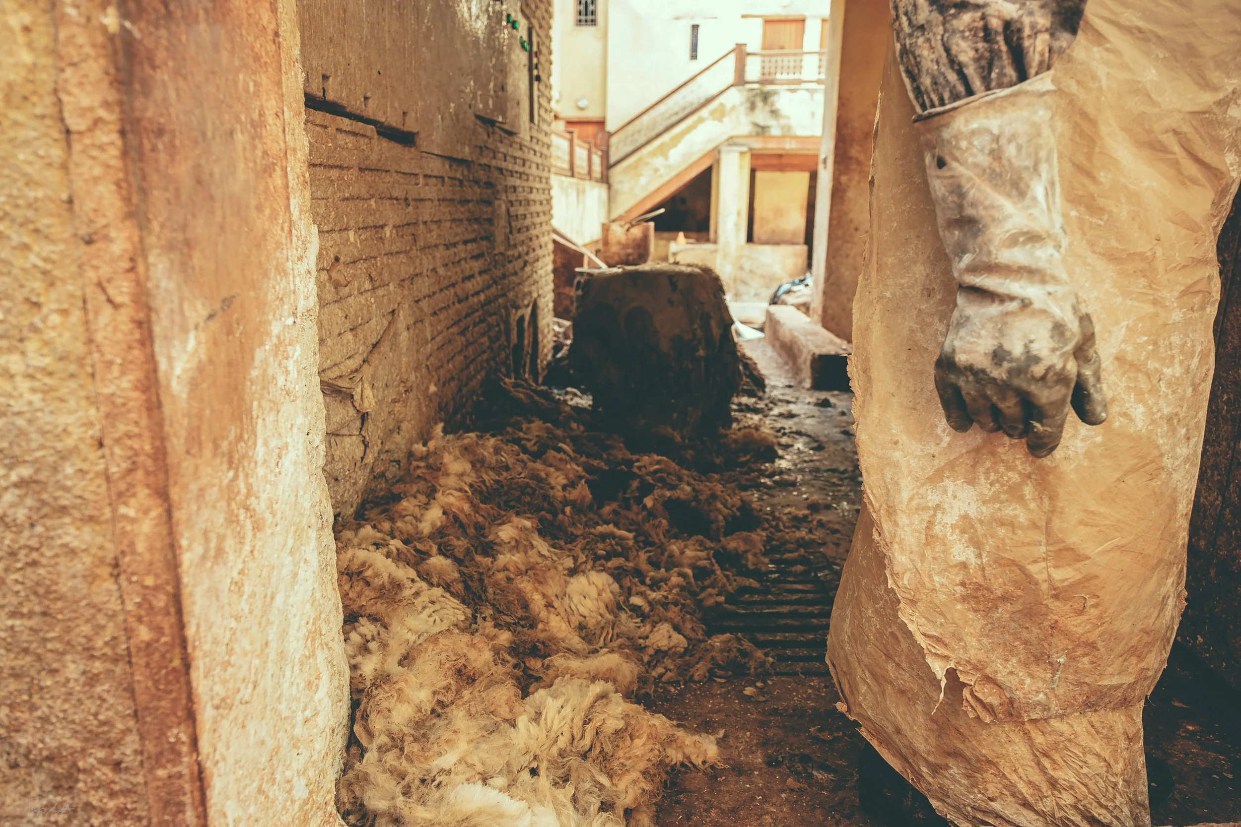 FES_TANNERY_02.jpg