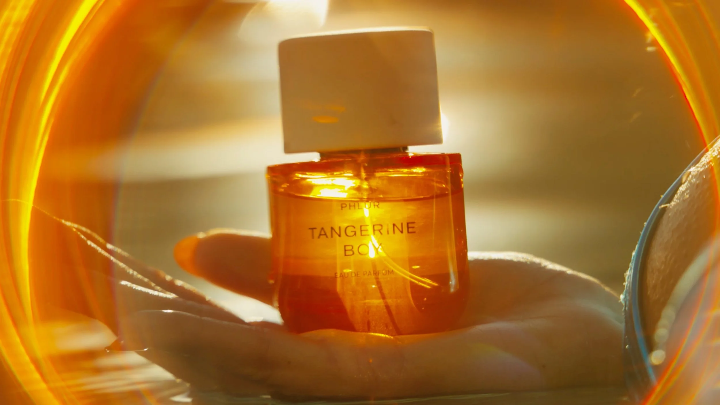 Screenshot 2022-12-21 at 10.16.29 AM.jpeg