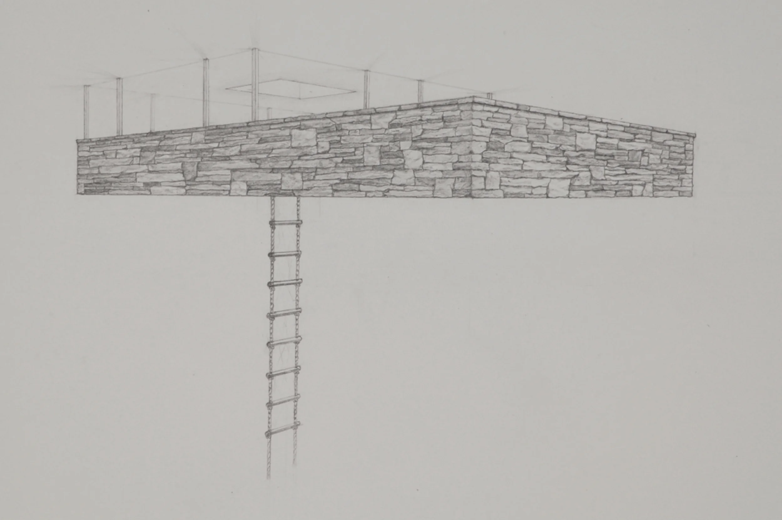 Copy of Tree House 3 (detail) / graphite on paper / 22 x30"