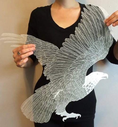 eagle_maudewhite.jpg