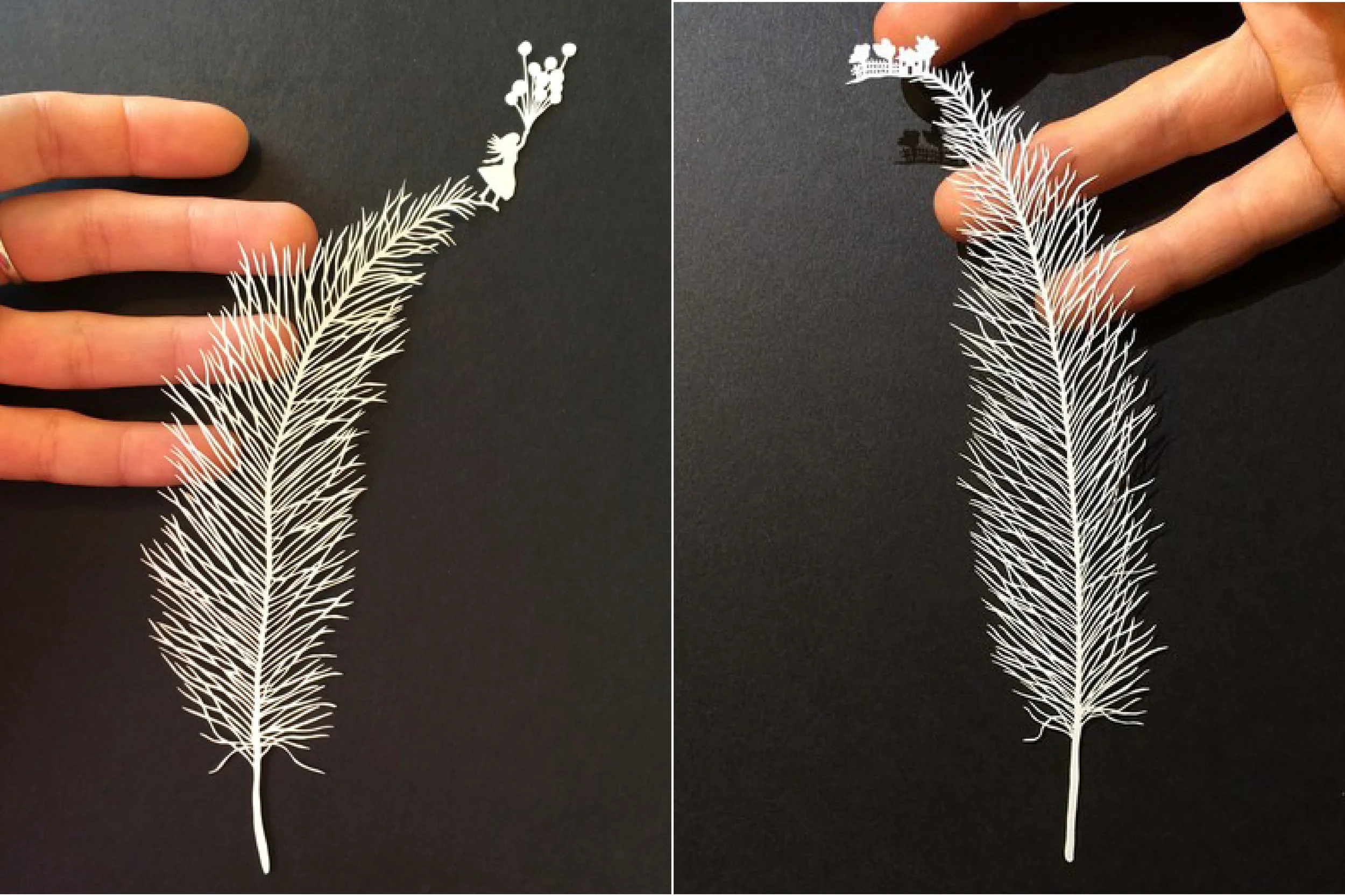 feathers_maudewhite.jpg